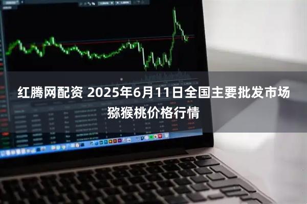 红腾网配资 2025年6月11日全国主要批发市场猕猴桃价格行情