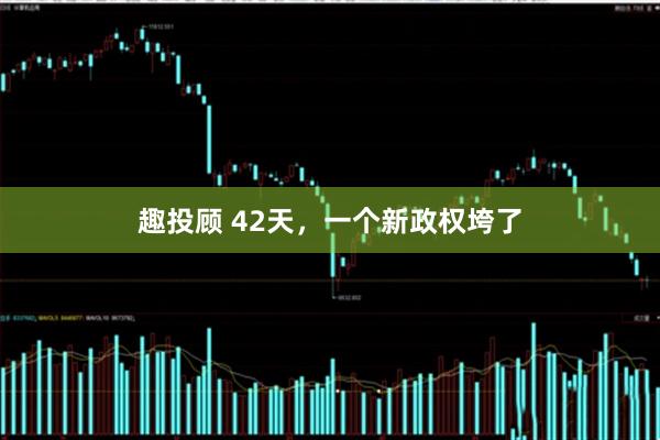 趣投顾 42天，一个新政权垮了