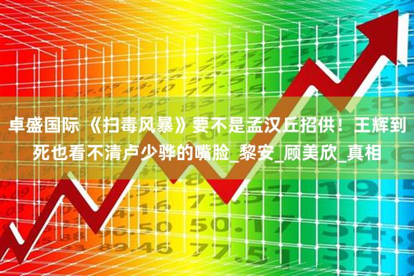 卓盛国际 《扫毒风暴》要不是孟汉丘招供!王辉到死也看不清卢少骅的嘴脸_黎安_顾美欣_真相